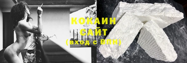 прущий лед Дмитриев