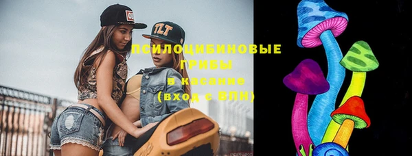 прущий лед Дмитриев