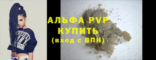 ПСИЛОЦИБИНОВЫЕ ГРИБЫ Дмитров