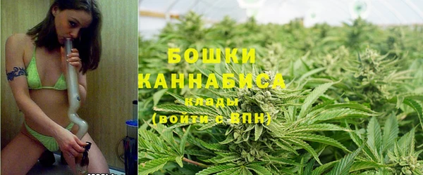 прущий лед Дмитриев