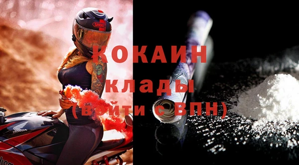 прущий лед Дмитриев