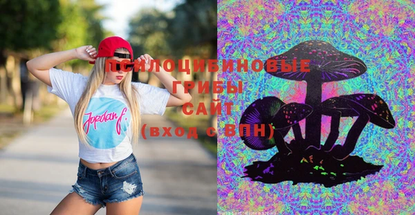 ПСИЛОЦИБИНОВЫЕ ГРИБЫ Дмитров