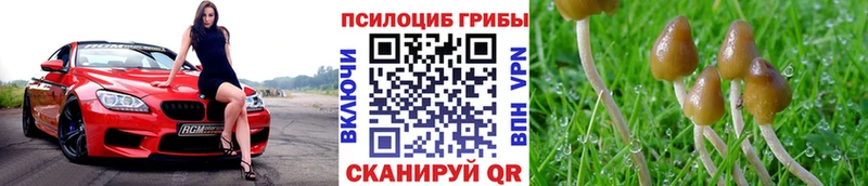 Галлюциногенные грибы Cubensis  Купить закладки  Североуральск 